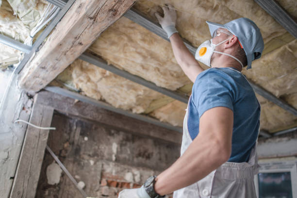 Best Insulation Maintenance and Repair in Chigan Center, MI